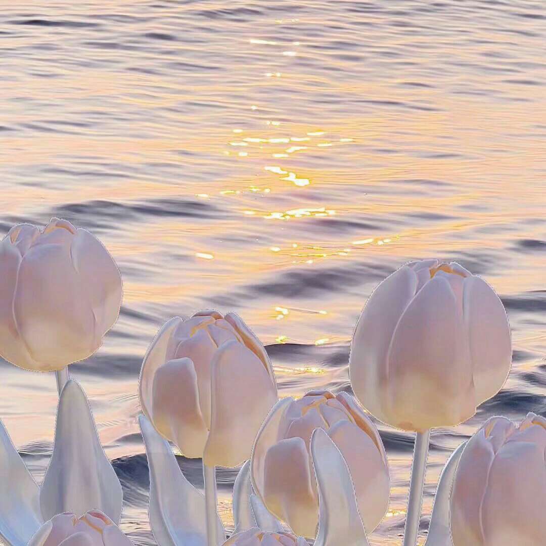 浪漫且小众（3）