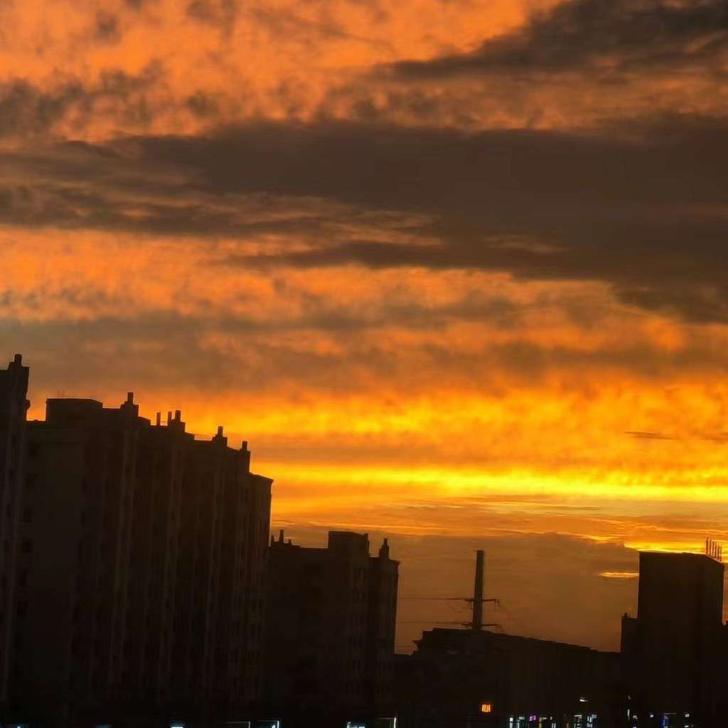 吾之所想亦所向