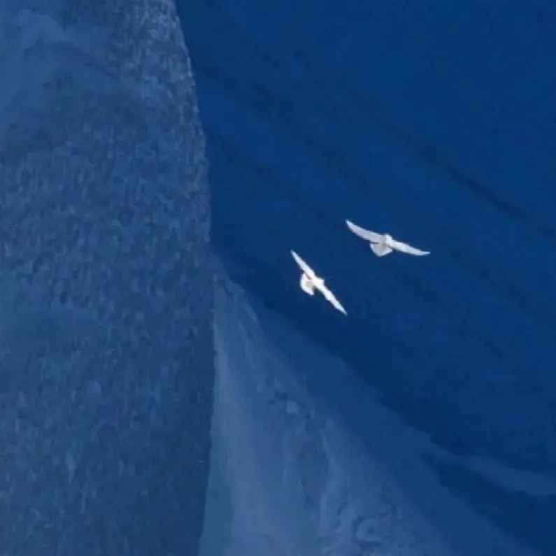 乌托邦是理想乡的专辑