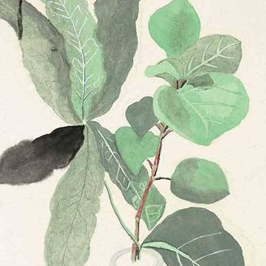 《今天也要重新出发》