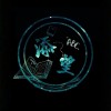 某某