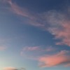 清风拂山岗