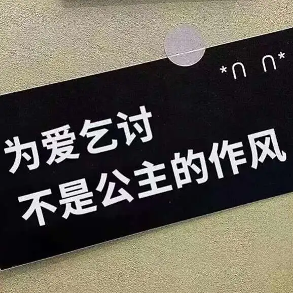 绿茶必备