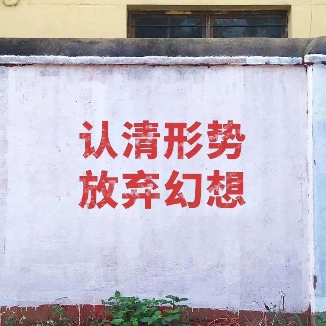 理想