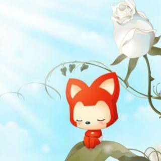 阿狸的999封情书