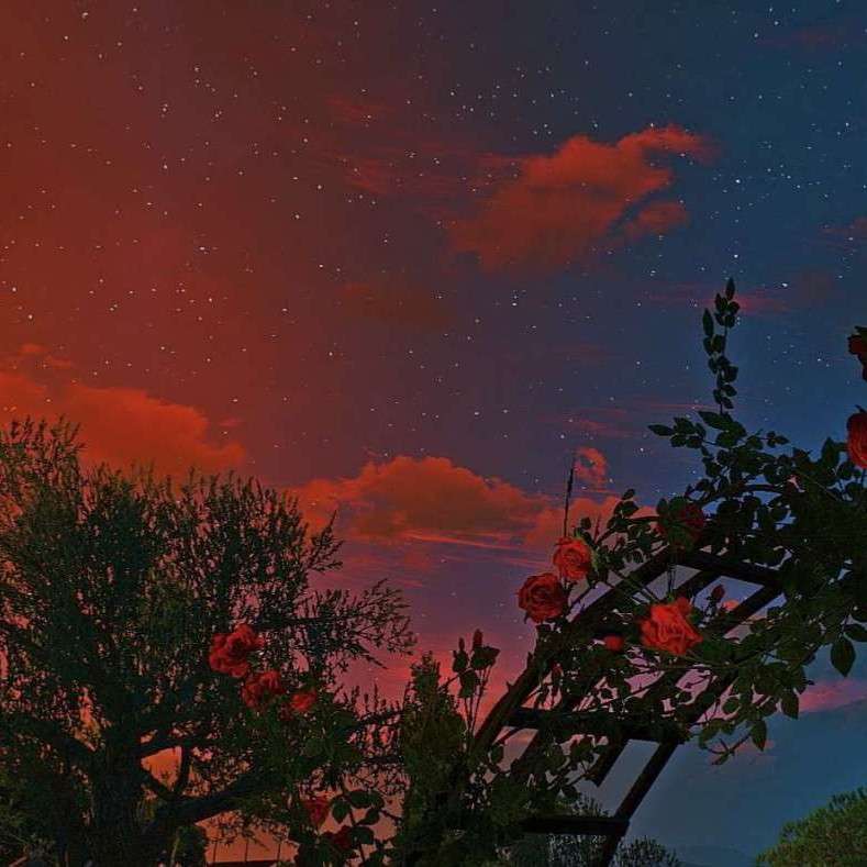 可以写进作文的句子