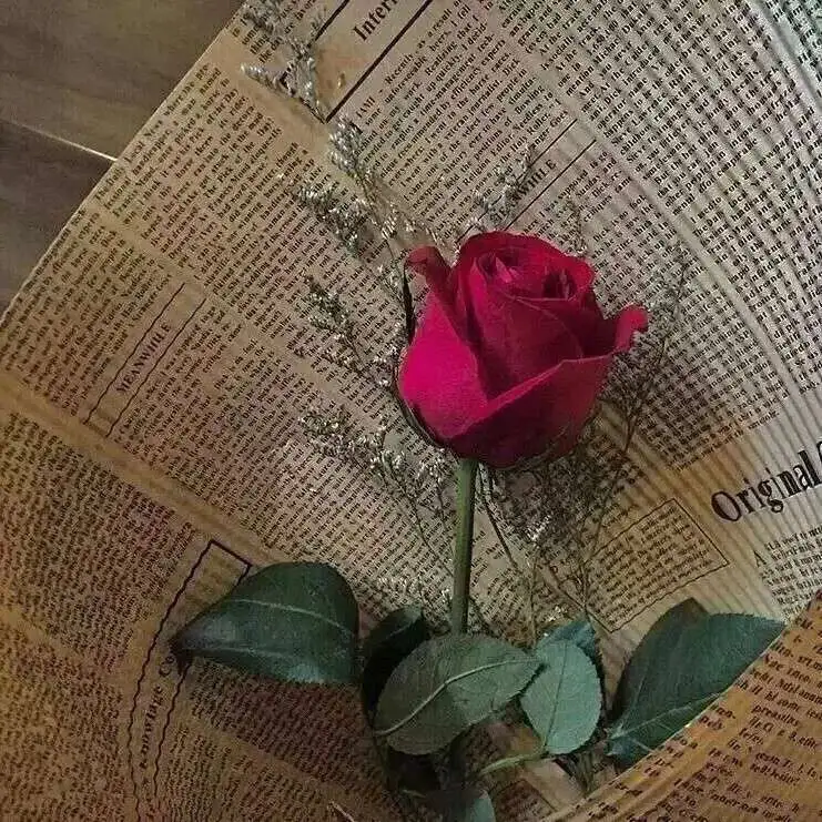 关于温柔这件小事