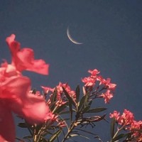 分享一下你珍藏的治愈系文字吧！