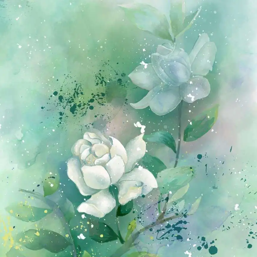 优美句子