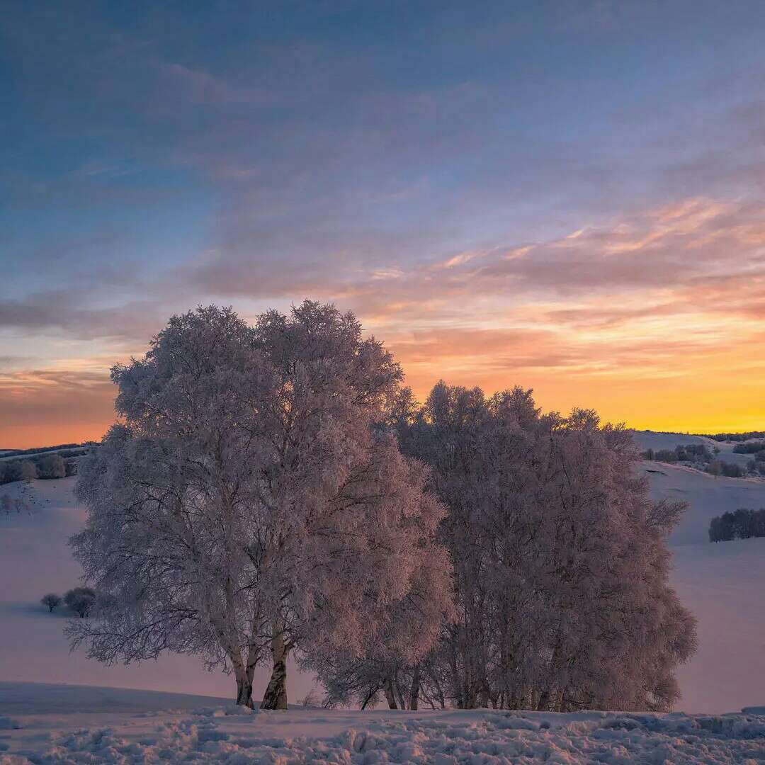 陈三斤的收藏专辑