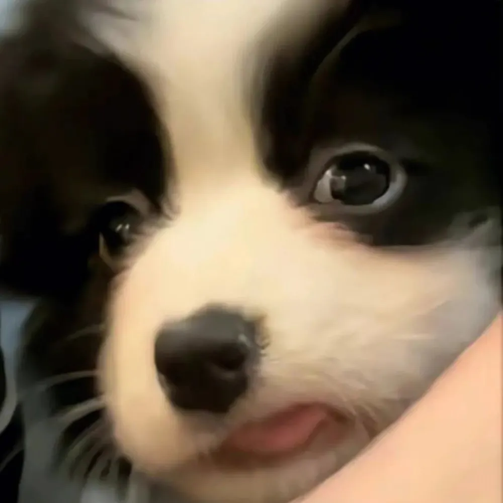 舟