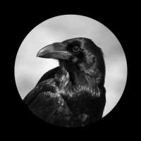 一些让你能记很久的句子🦄