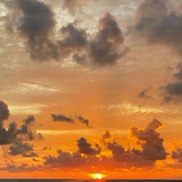 二哈和他的白猫师尊