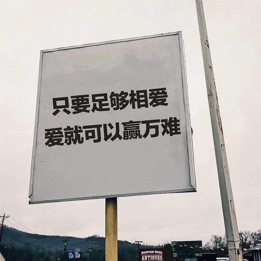 关于磊磊的故事