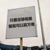 关于磊磊的故事