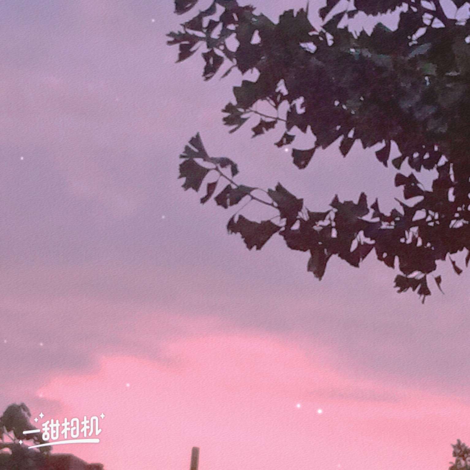 从你的全世界路过