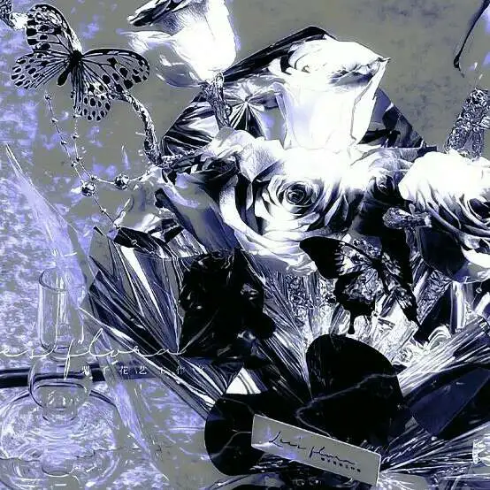 好句收集