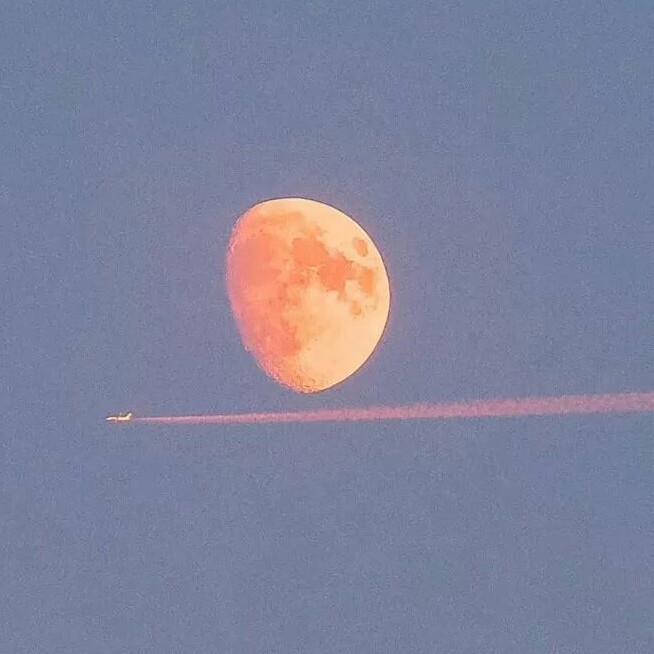 南城以南集句本