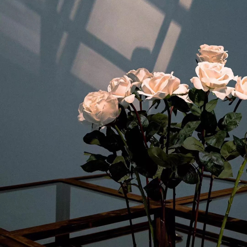 《等风热吻你》书摘