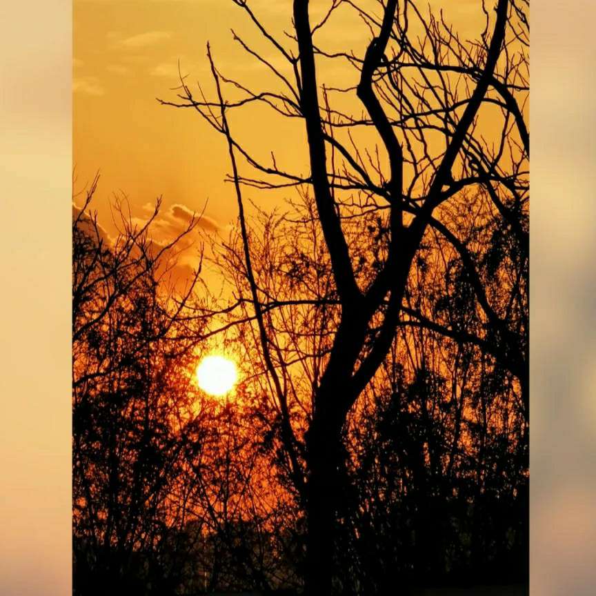 日落即孤独的剧场