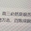 隼的作文素材