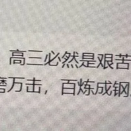 隼的作文素材