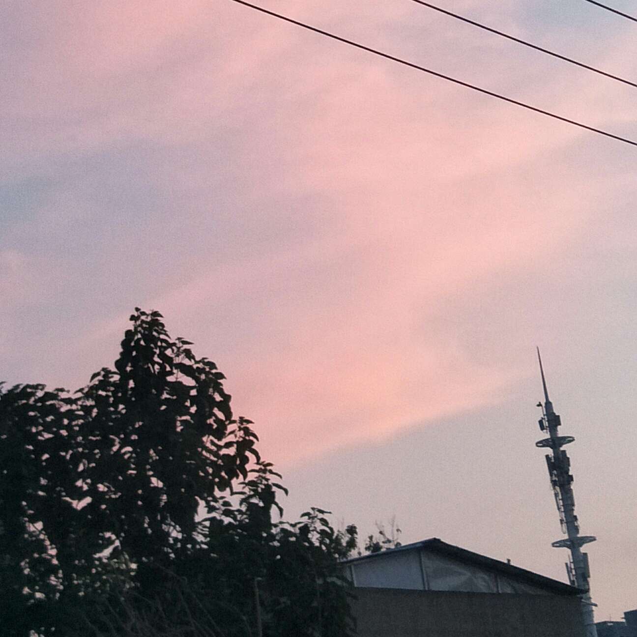 咬一口甜甜的星的专辑