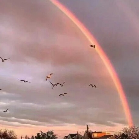 “平淡，安慰”