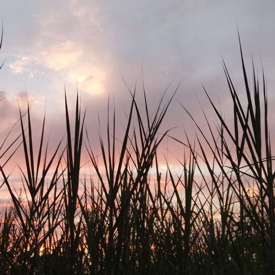 我的世界.的专辑