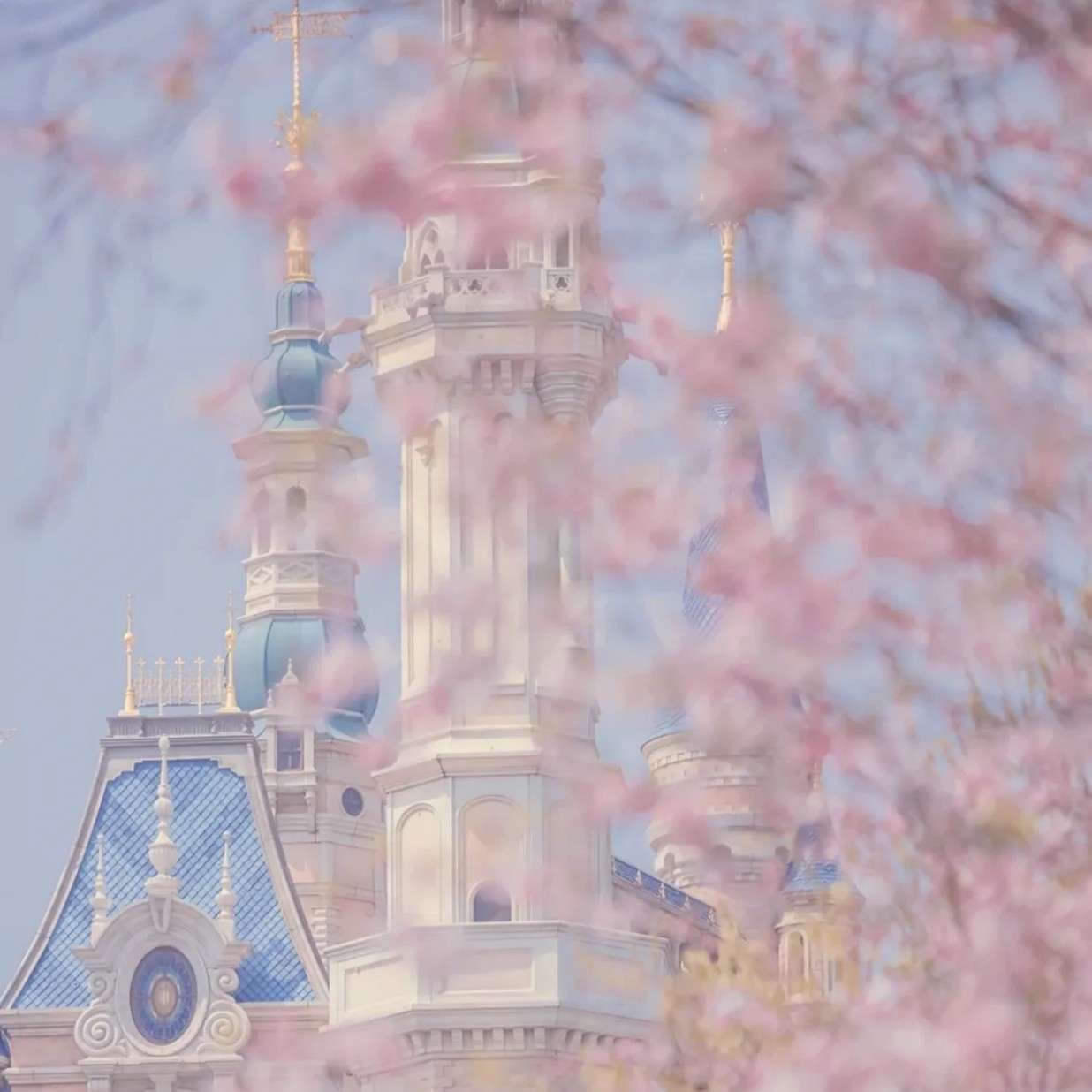 “你是年少的欢喜”