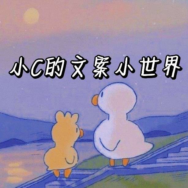 已收入小c的文案小世界