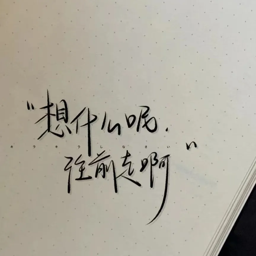 我的专辑