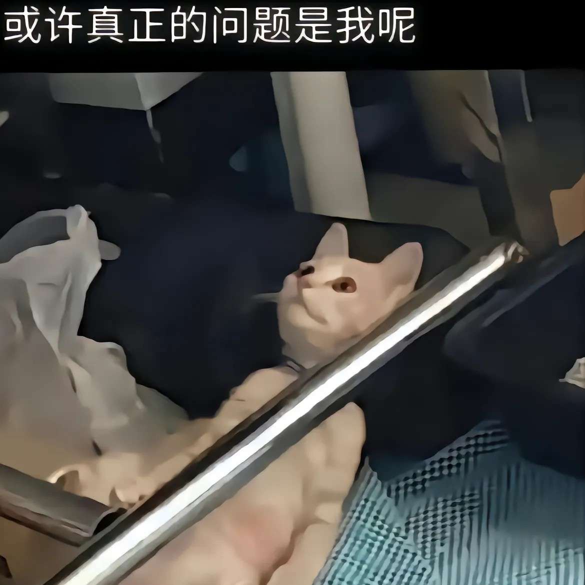 下辈子也不见了