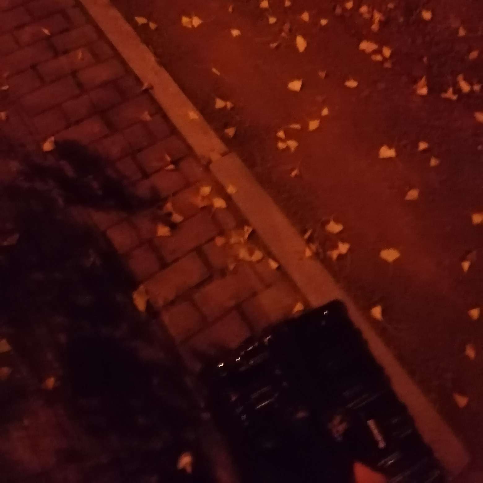 没什么，只是觉得我们好像也不会结婚，索性不聊了。