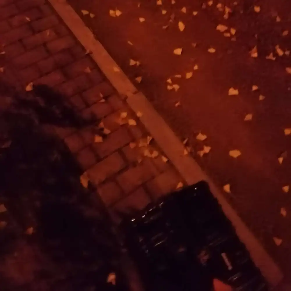 没什么，只是觉得我们好像也不会结婚，索性不聊了。