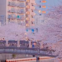 一眼惊艳岁月静好的句子