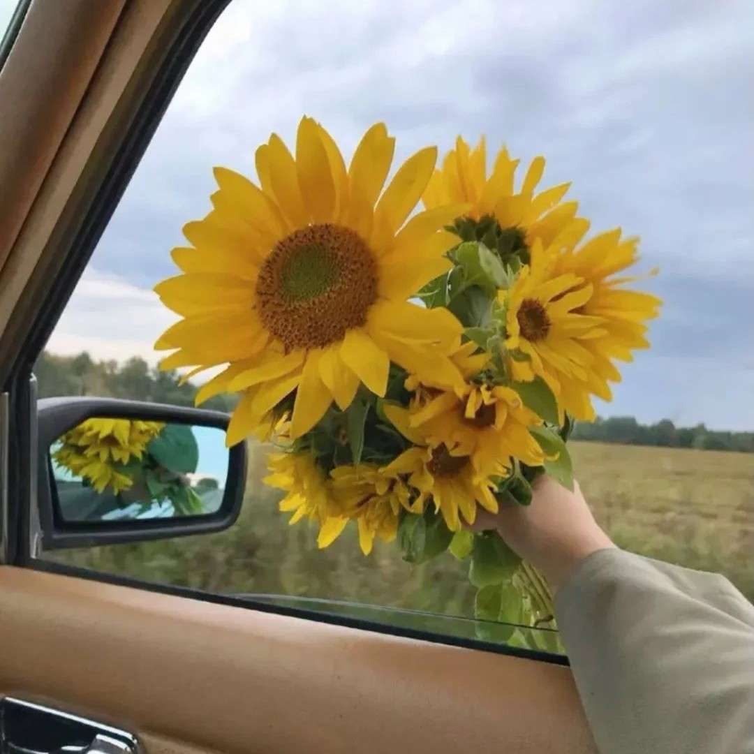 三观超正的文案