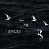 《日仰见流云》
