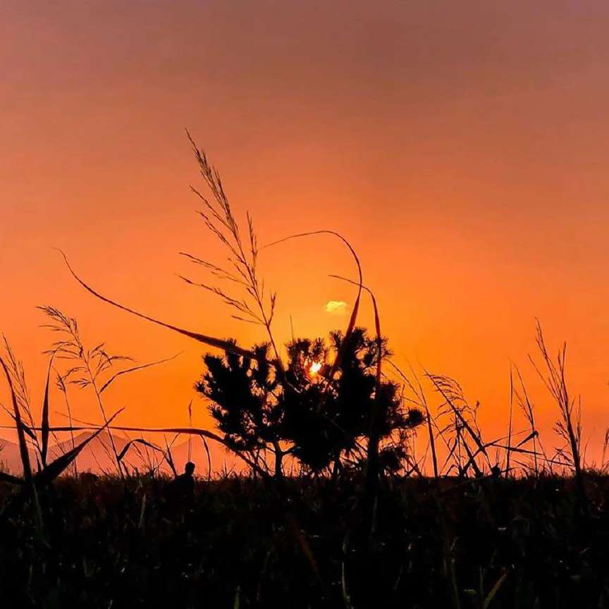 我在人间凑数的日子