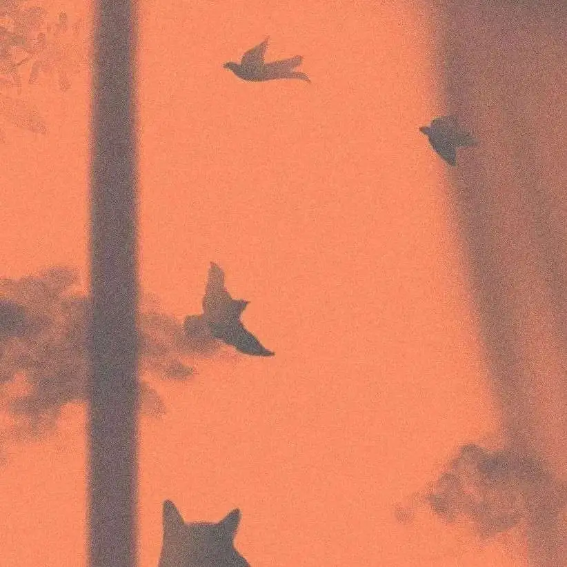 《外婆的道歉信》-弗雷德里克·巴克曼