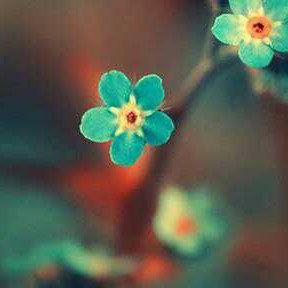 《莫里斯的情人》