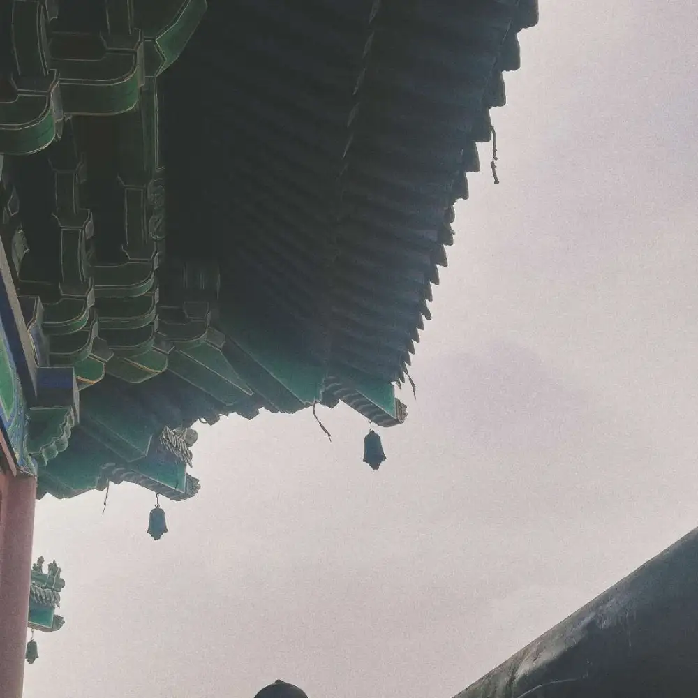 小说中的句子