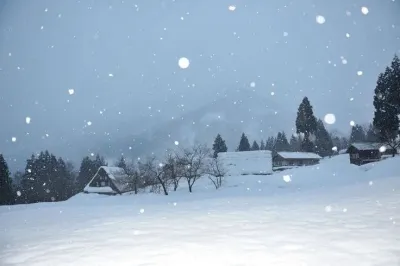 金句盘点｜世界文学史上最著名的一场雪