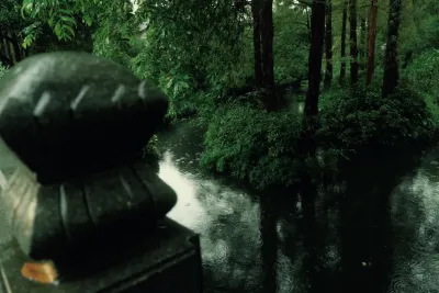 2026雨水节气文案|天将润色,人间向春