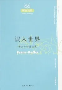 误入世界
