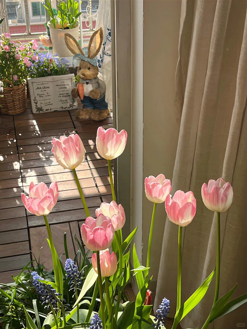 四月 祝你拥有往春天里赶的心情🐾