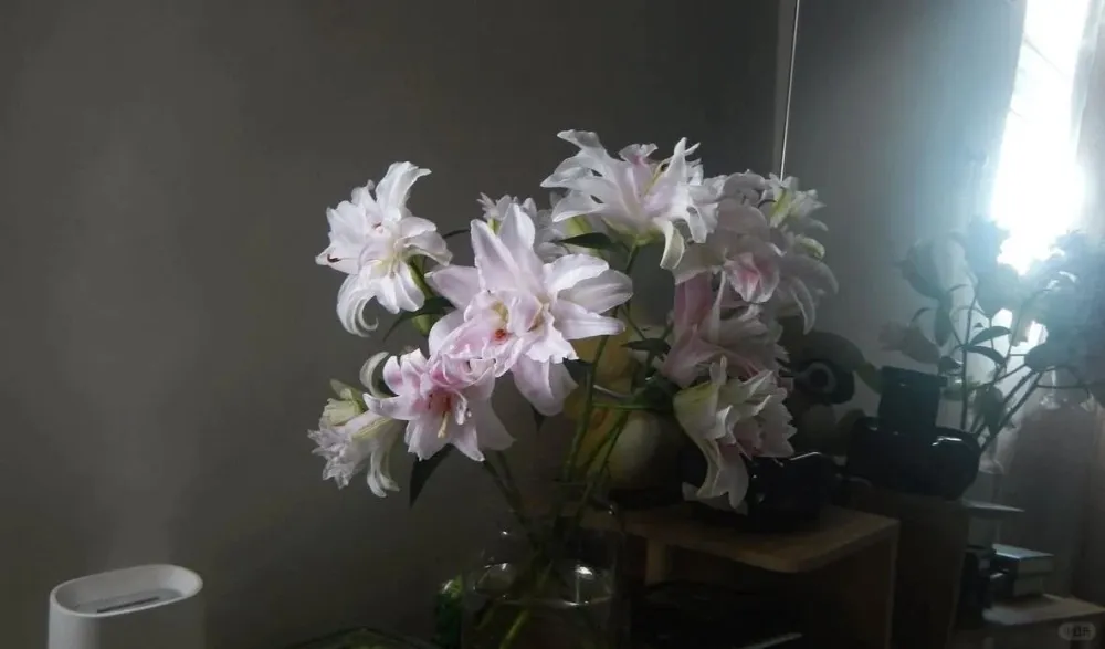 媚系文案ᯠ  _   ̫ _ ᯄ 