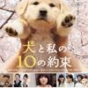 《我与狗狗的十个约定》