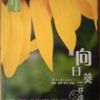 《像自走孩日葵一个地成长》