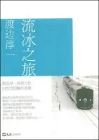 流冰之旅